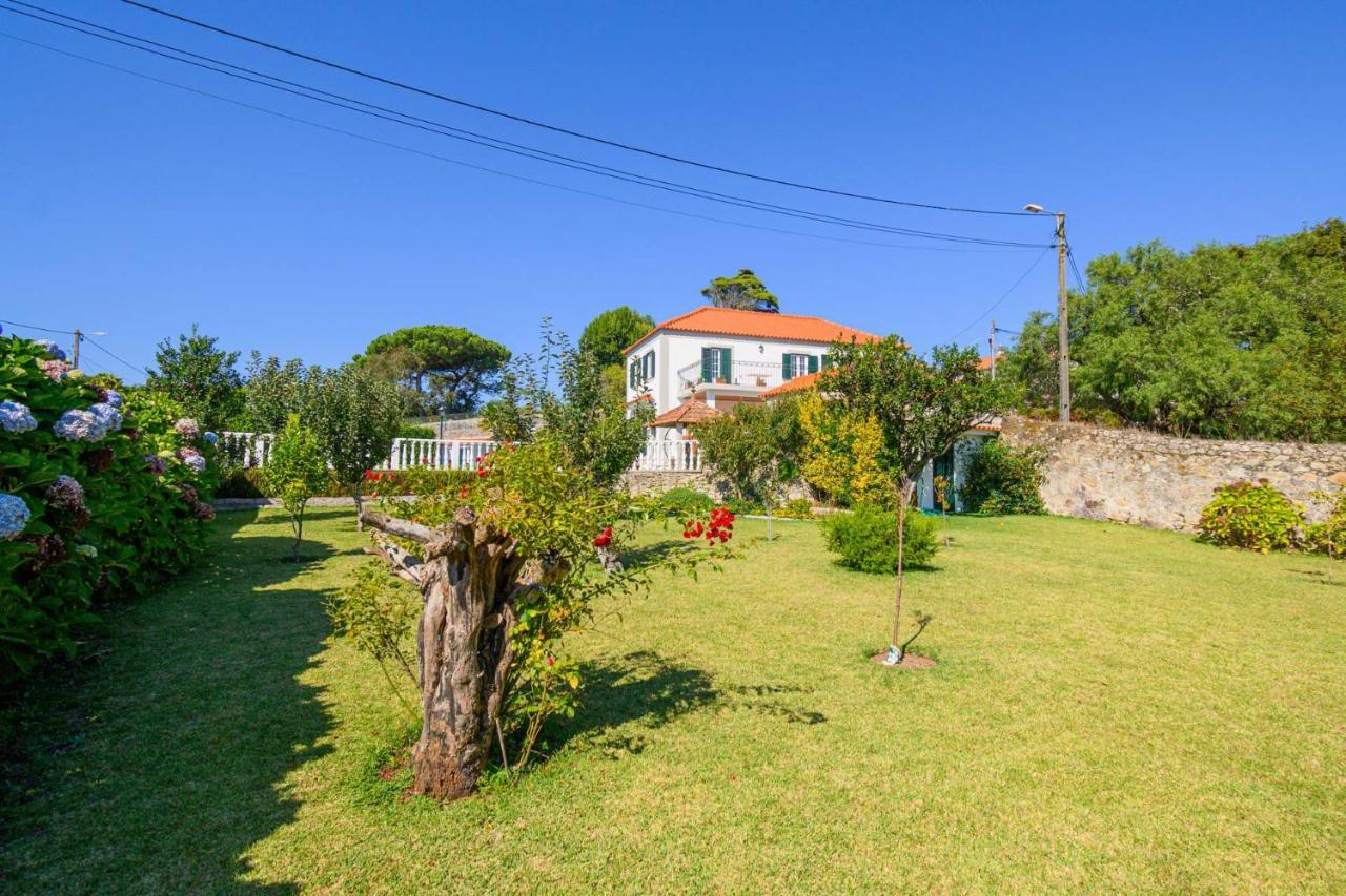 Casa Bacelar Afife Exteriör bild
